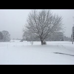 Meet your Posher, Hesther